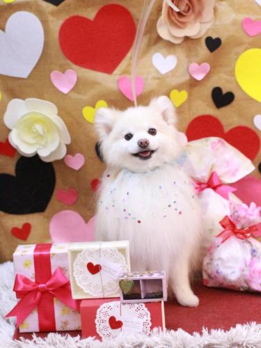 20230207おまるくん